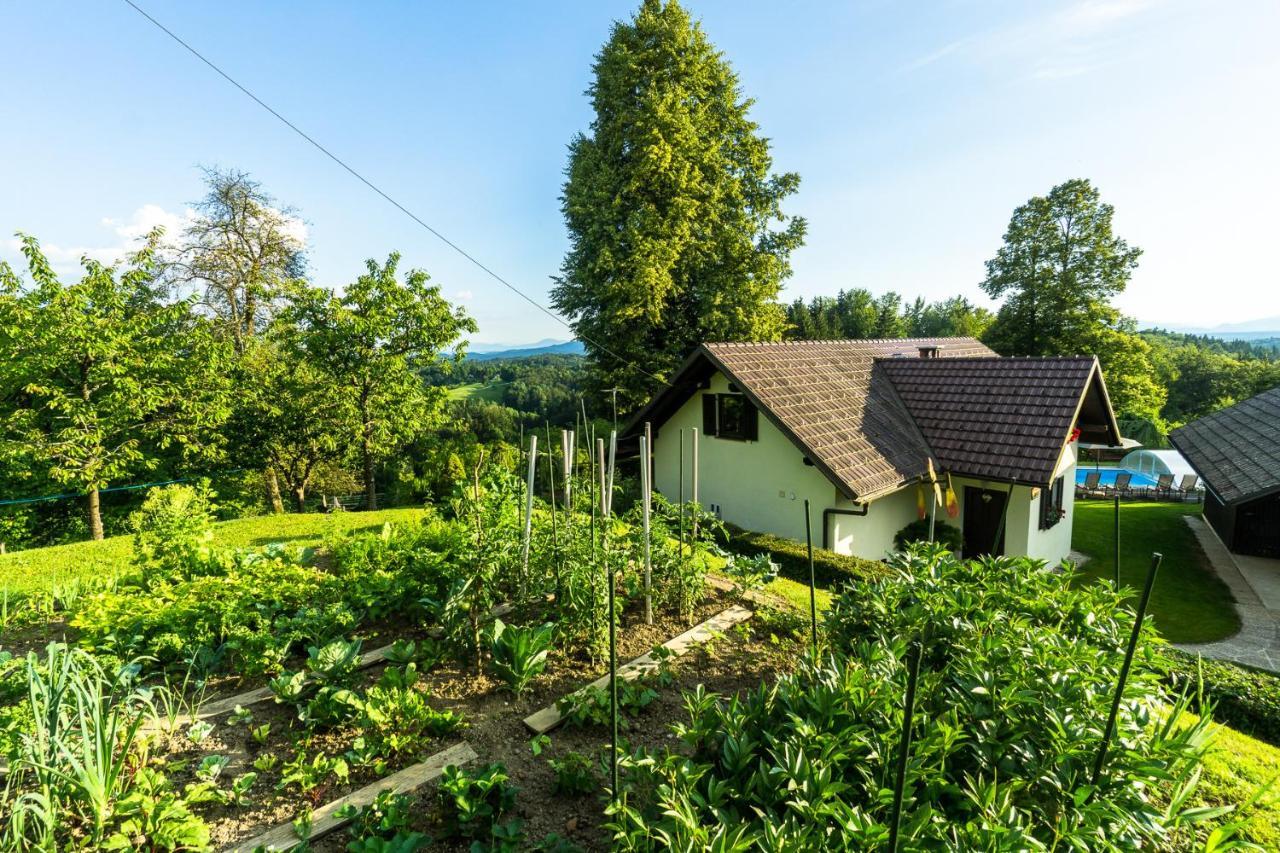 House In Nature With Pool, Pr Matazic