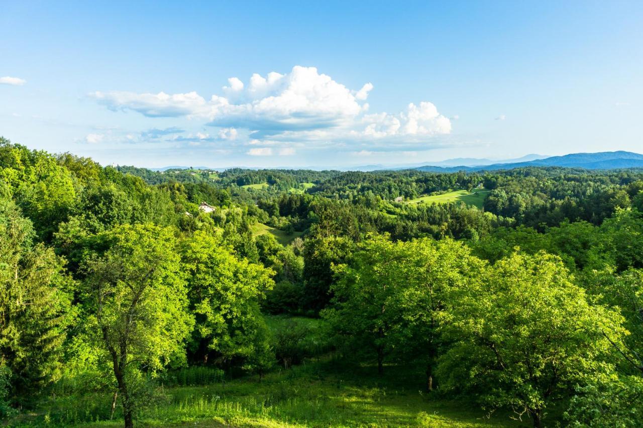 House In Nature With Pool, Pr Matazic Kamnik